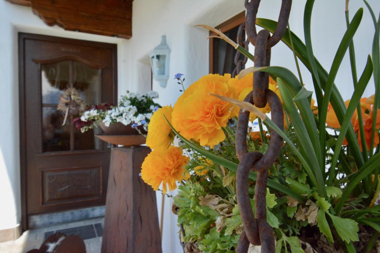 Appartement Oberschernthann ฮอพฟ์การ์เทน อิม บริกเซนทัล ภายนอก รูปภาพ
