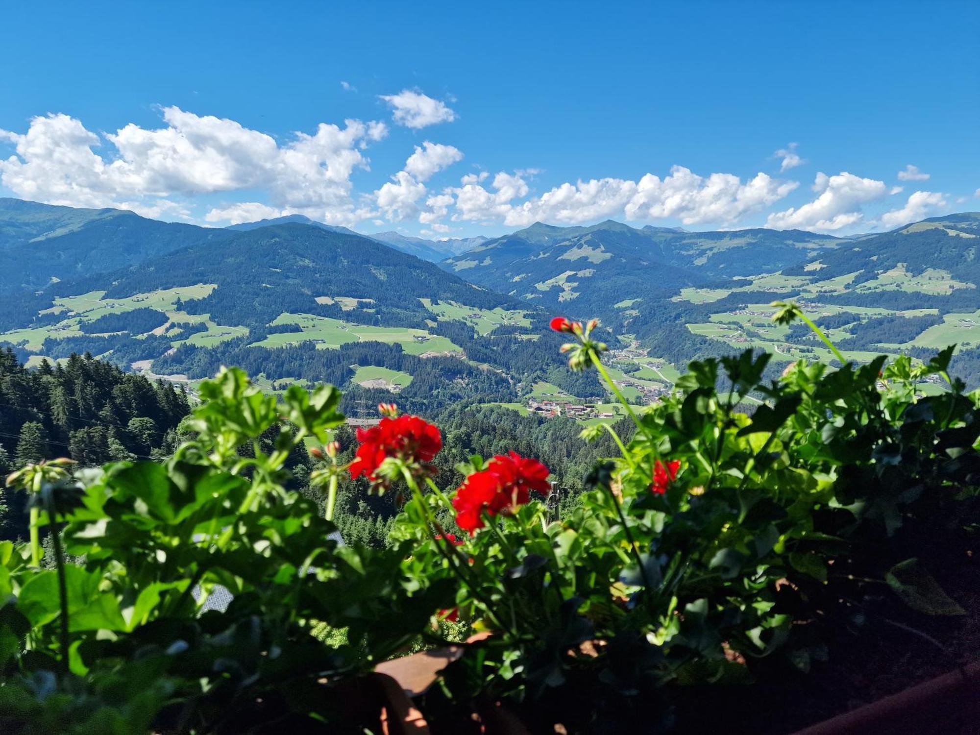 Appartement Oberschernthann ฮอพฟ์การ์เทน อิม บริกเซนทัล ภายนอก รูปภาพ